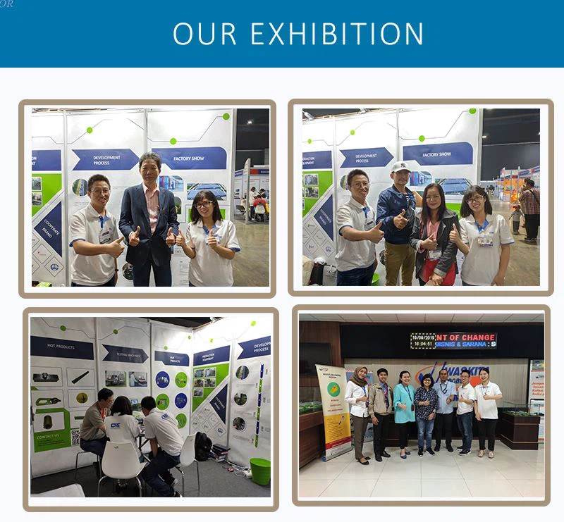 exhibition exhibition
